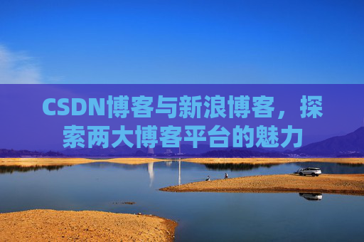 CSDN博客与新浪博客，探索两大博客平台的魅力